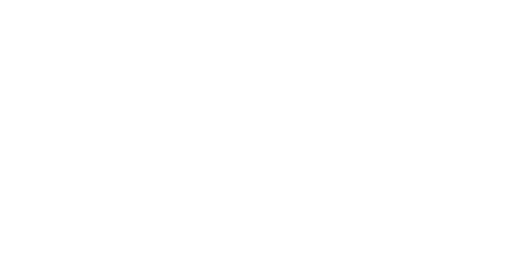 le projet des eas